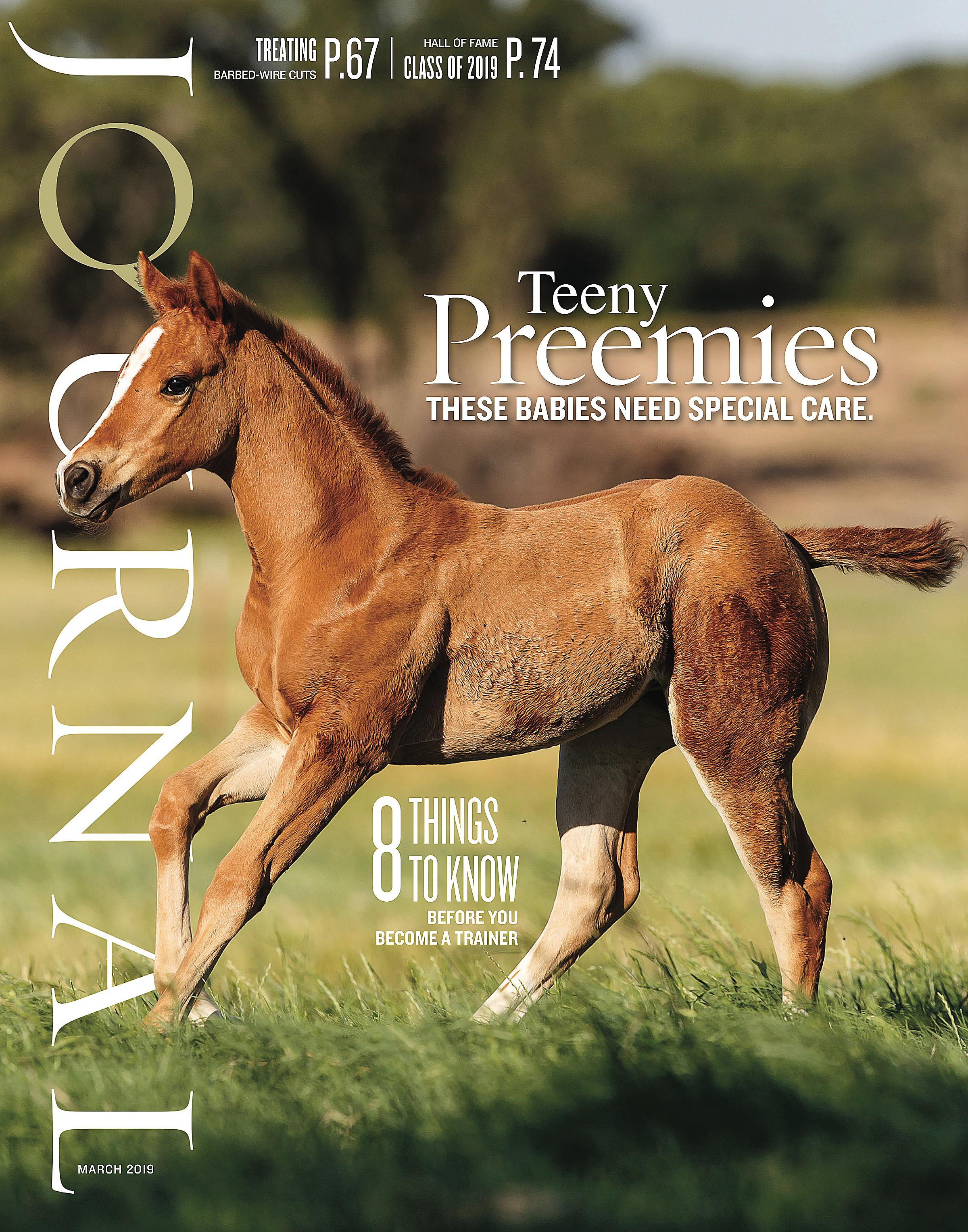 Magazines | Quarter Horse Journal | 2019 March