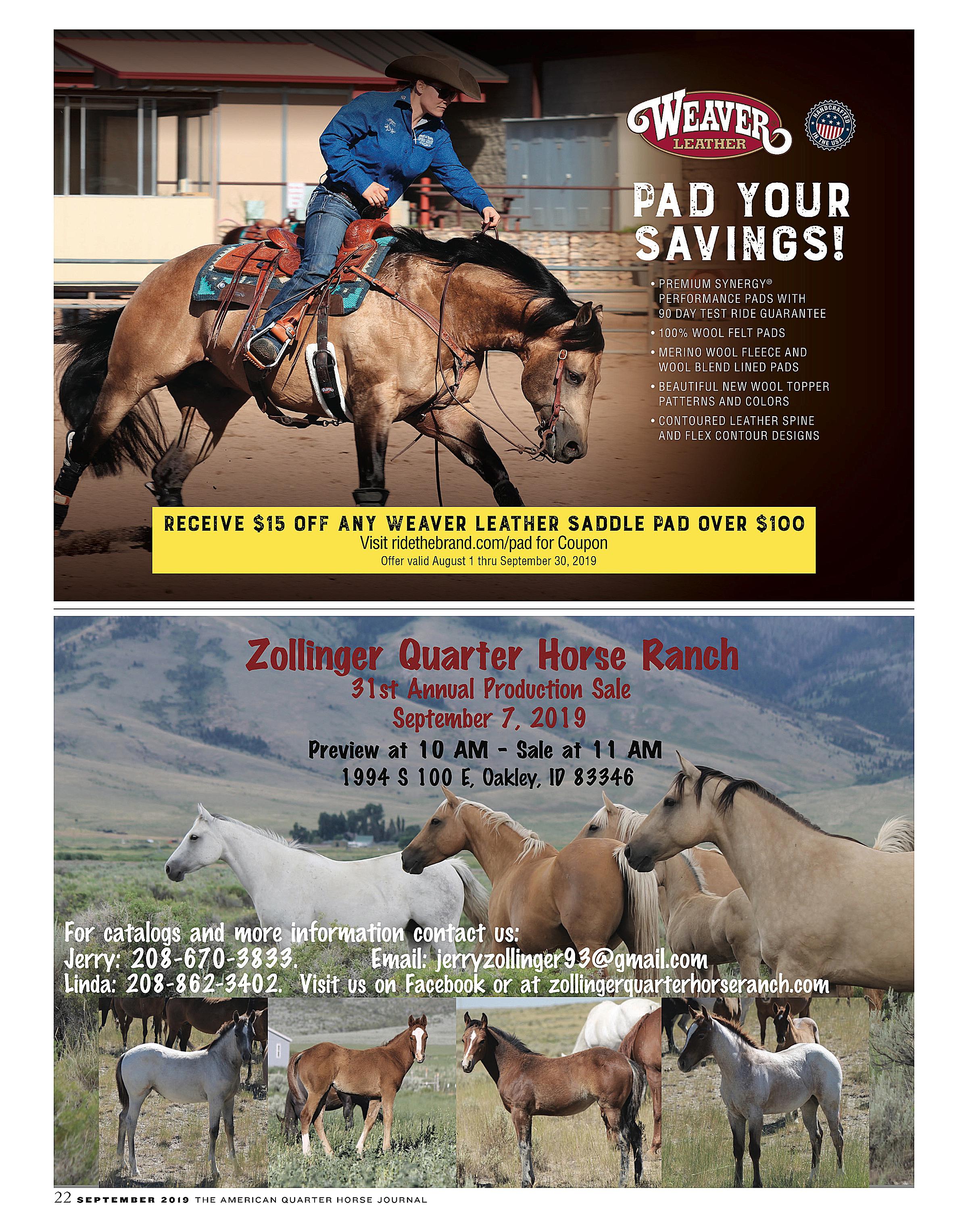 Magazines | Quarter Horse Journal D | 2019 September