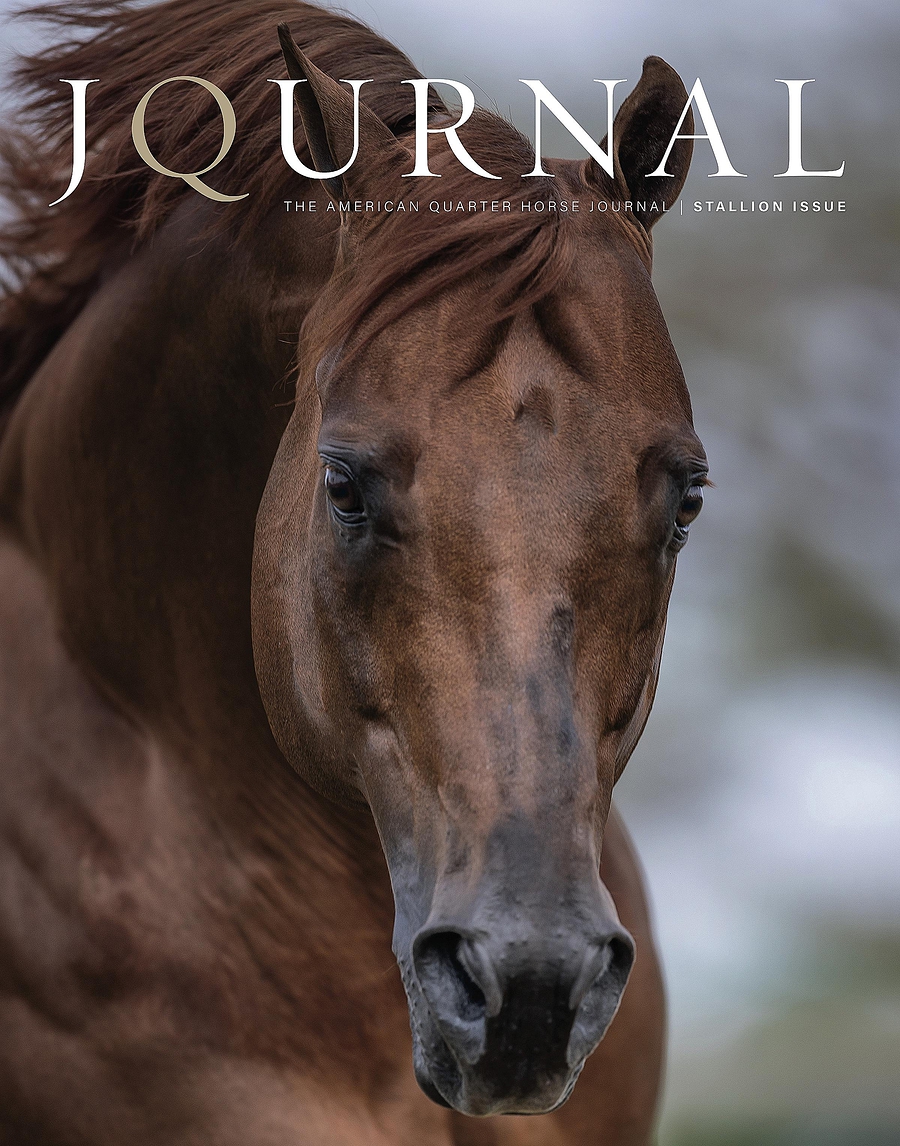 Quarter Horse Journal |