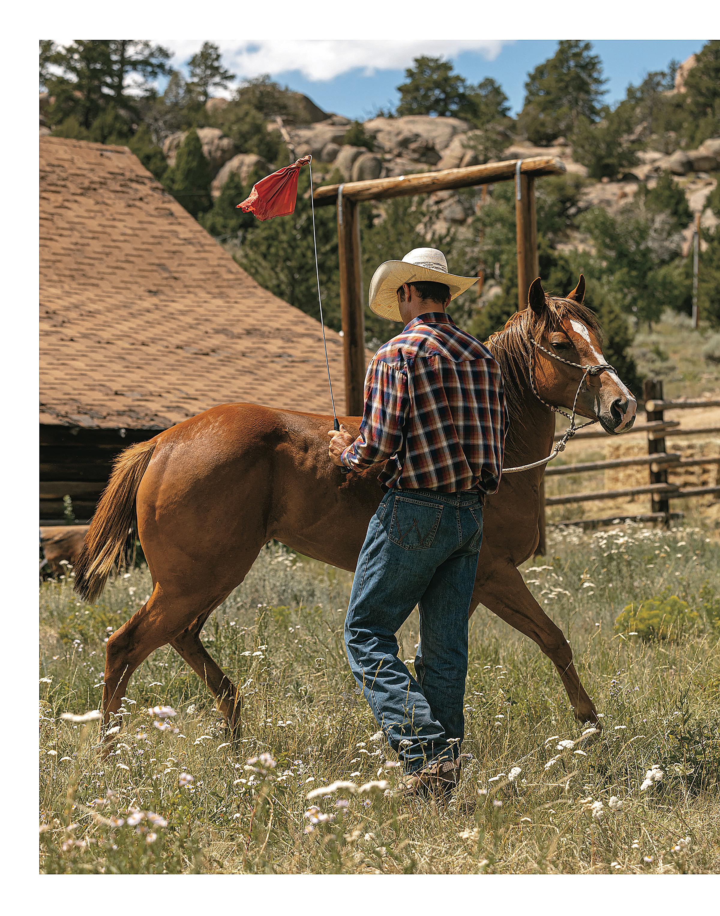 Quarter Horse Journal 2024 Jan Feb   028 L Hr 