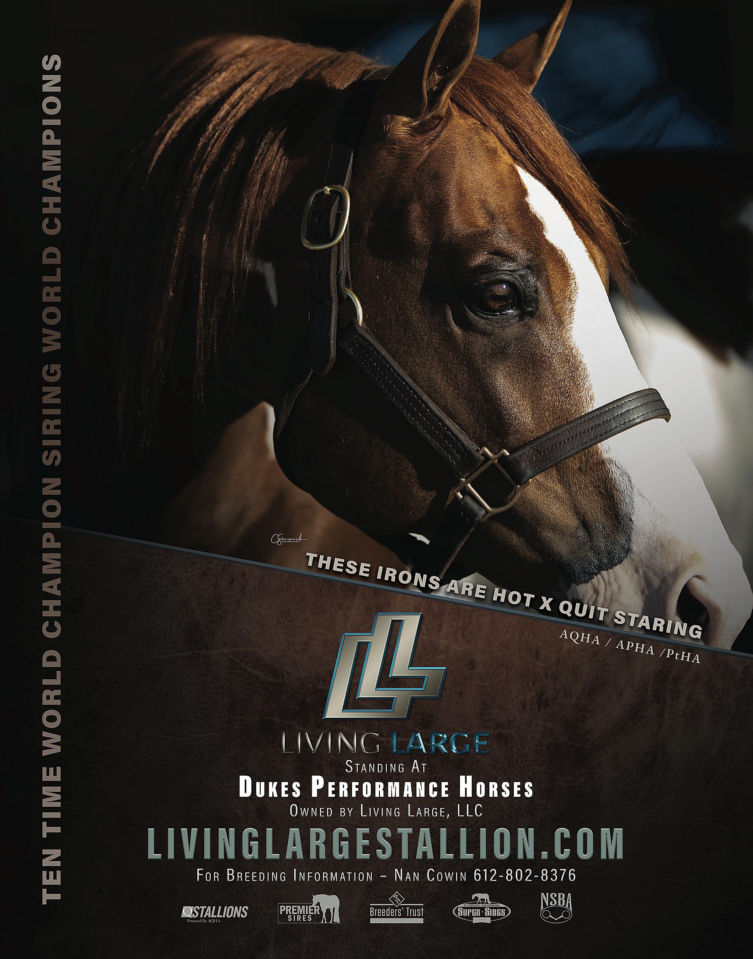 Quarter Horse Journal 2024 Jan Feb   112 L Hr 