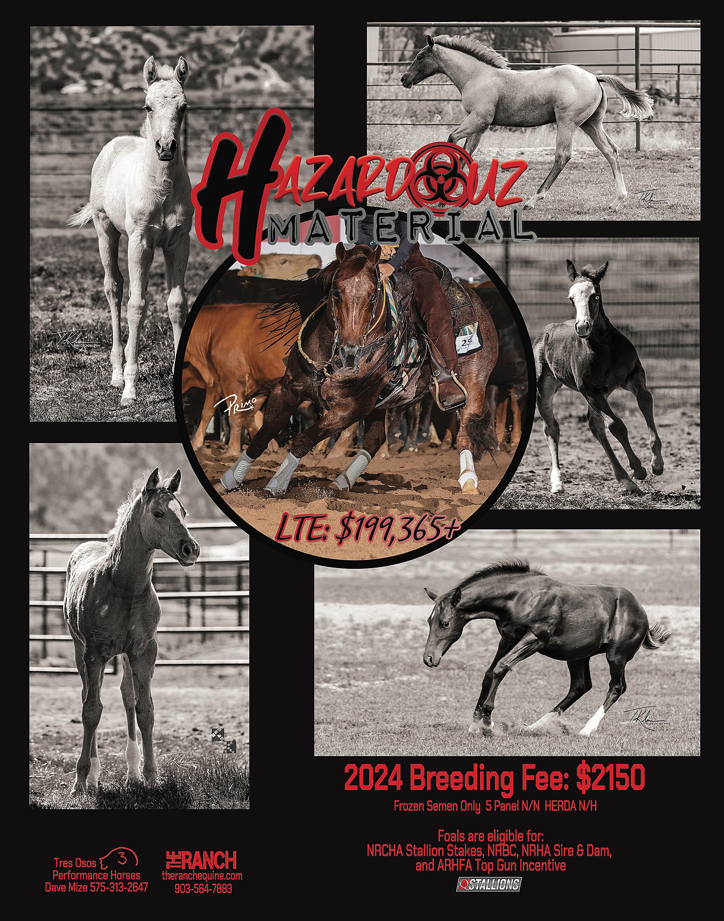 Quarter Horse Journal 2024 Jan Feb   145 L Hr 